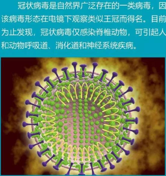 武汉新型冠状病毒肺炎有哪些症状？如何预防？