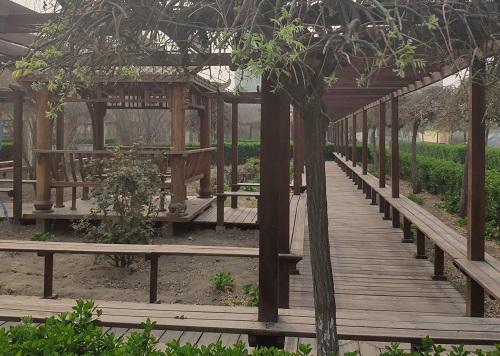 石家庄铁路技校春天校园